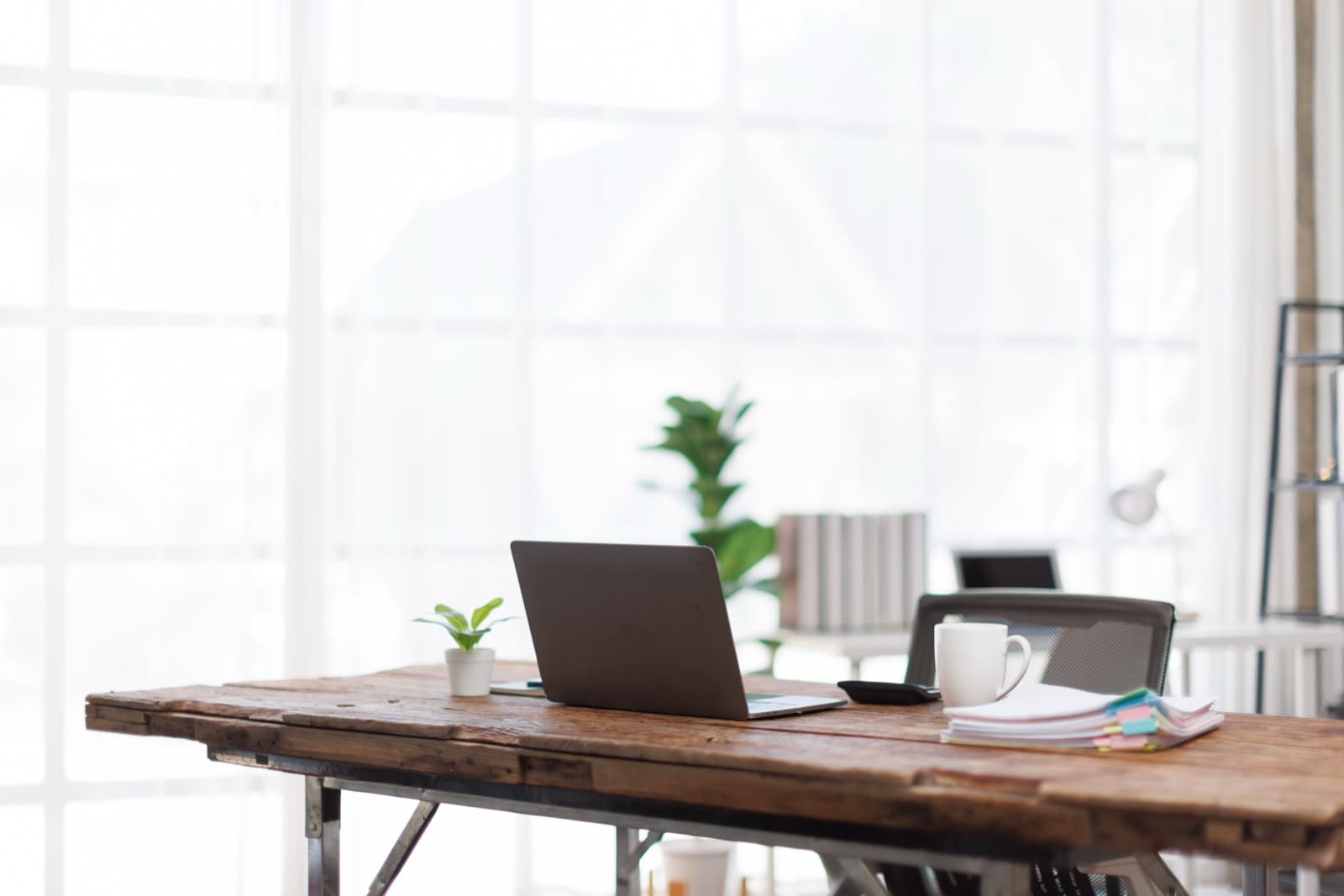 A warm wooden desk with a laptop, a leafy plant and a cup of coffee beside a bright sunlit window.
